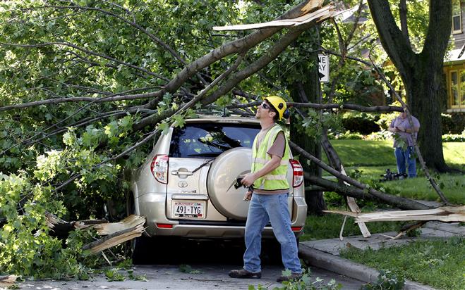 City of Milwaukee urban forestry specialist Jay Bach looks at a downed Norway maple on Tuesday at the corner of W. Washington Blvd. and N. 51st St. The tree landed on Janet Stodola’s 2010 Toyota RAV 4 in a storm Monday night.