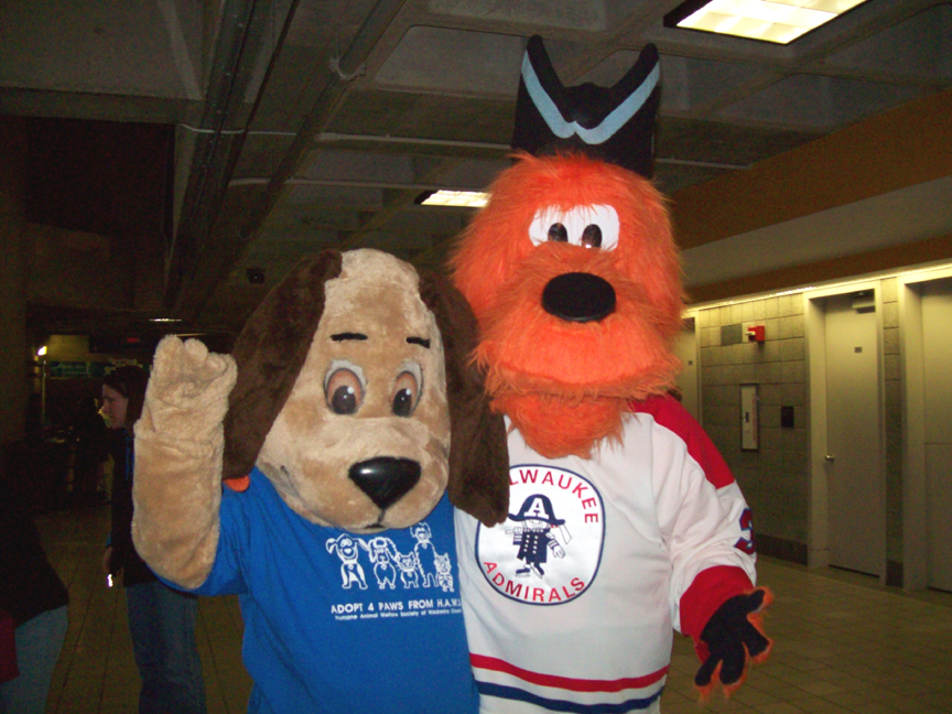 Lucky Paws, the Dog from HAWS meets Roscoe - the AHL
